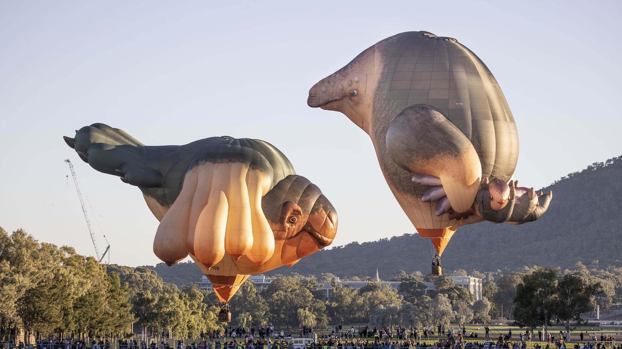 Canberra hot air balloon sculptures fail to fly