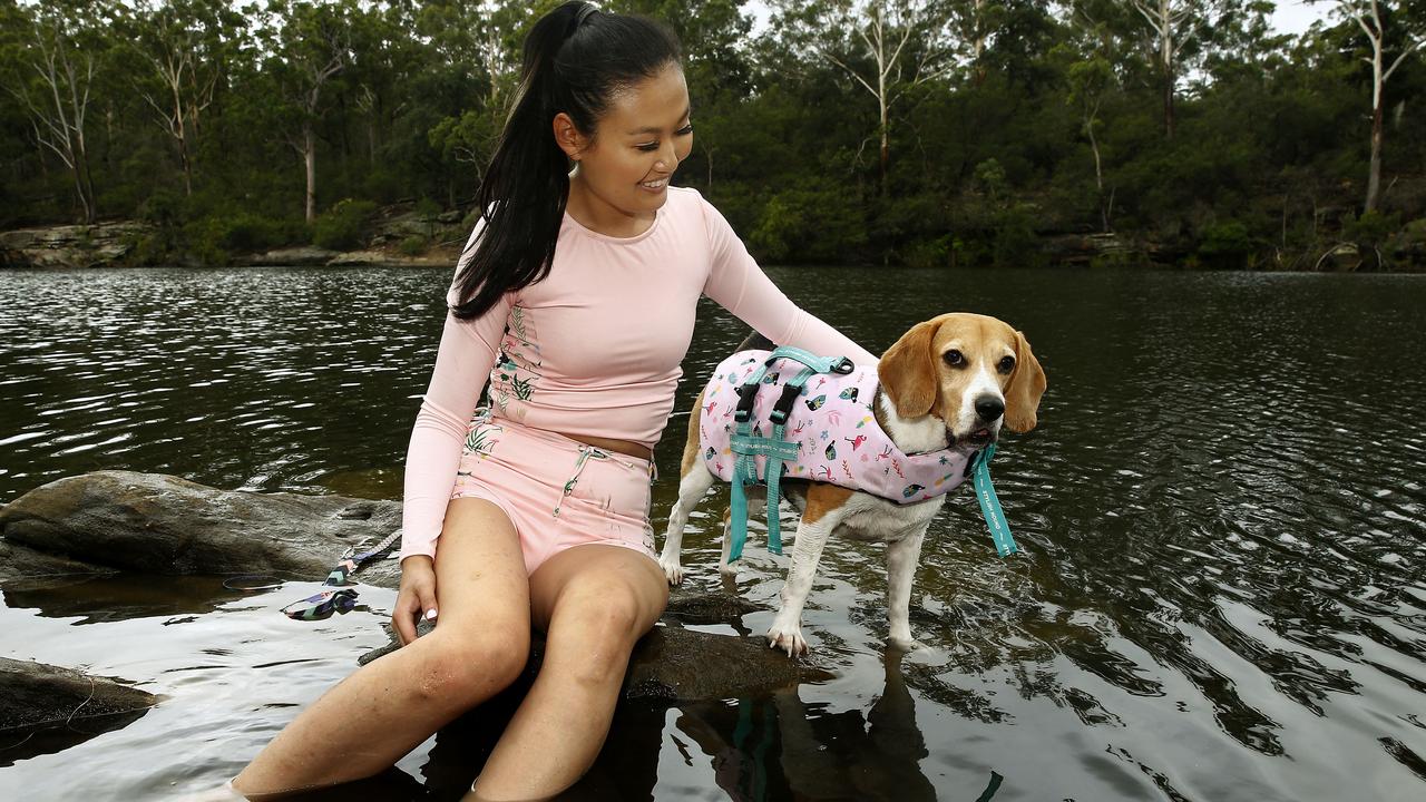 Canine water safety issues inspire dog life jacket invention