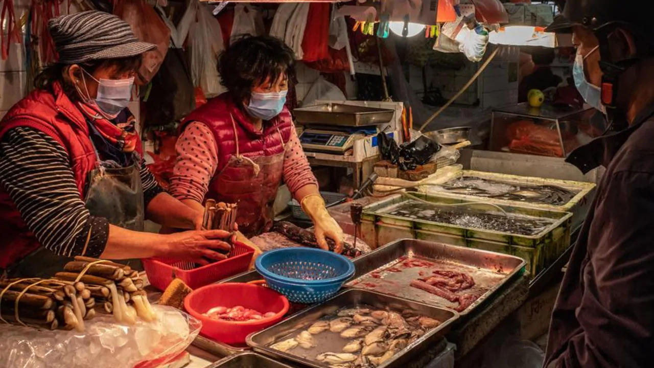 Coronavirus investigator says WHO team has found evidence in Wuhan about how pandemic started