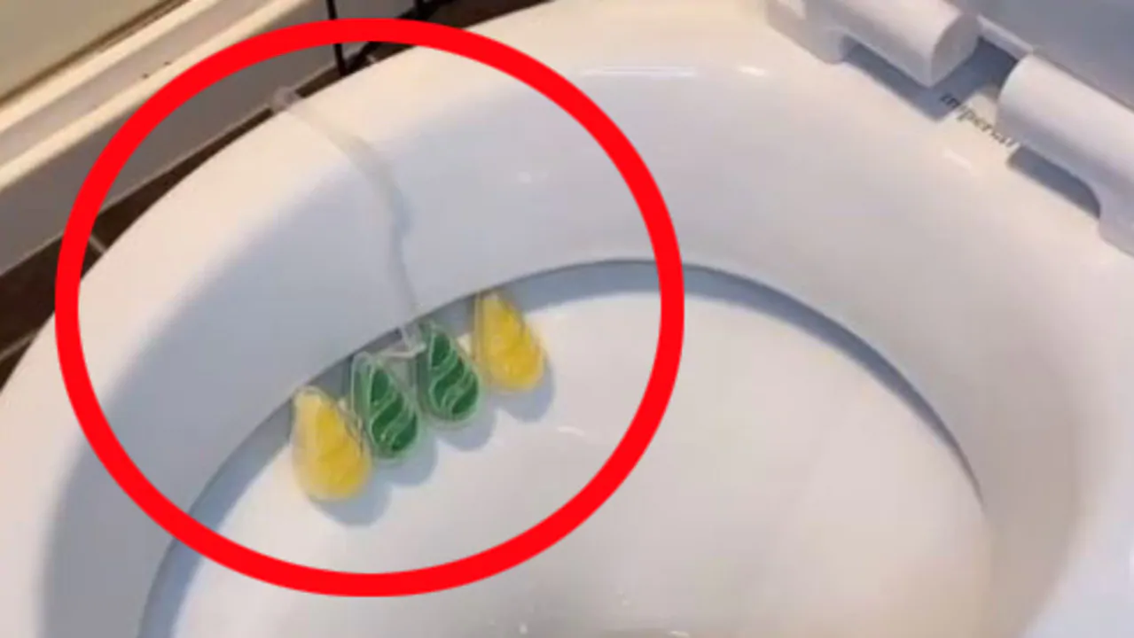 Correct way to use toilet cleaner according to viral TikTok video