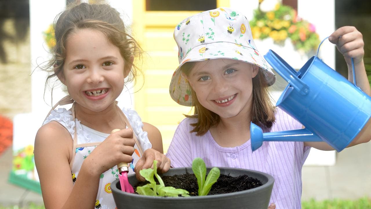 Discovery Garden seed kits are back