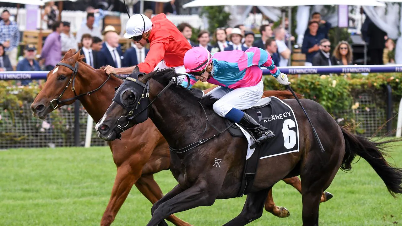 Lunar Fox lands in record books after winning at $301