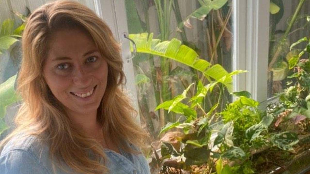 Millennials driving 1970s houseplant revival, pushing prices up to $1000s