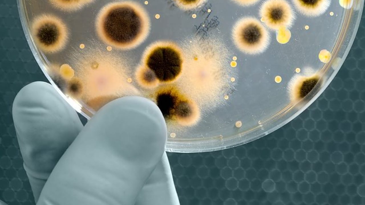 NSW health officials issue warning