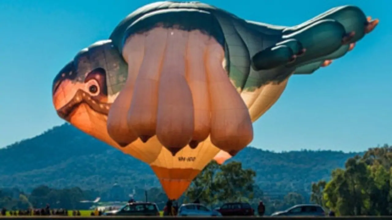 Skywhale family to take flight this weekend