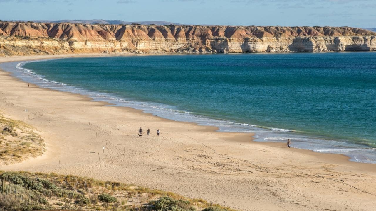 Suspected human bone found on beach