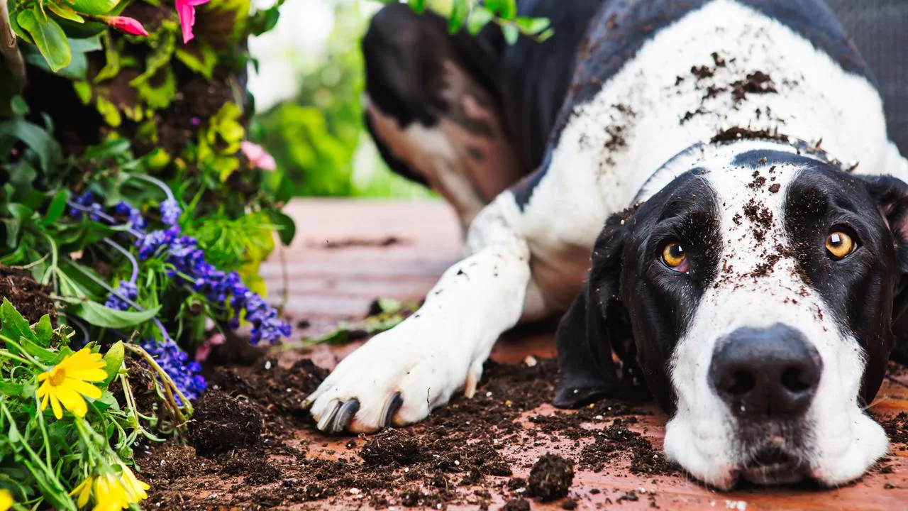 What you can do to soothe their worries