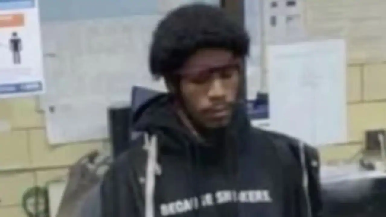 ‘Subway Ripper’ arrested after stabbing two to death and wounding two more in NYC