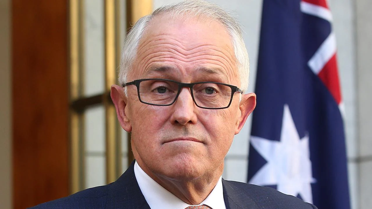 Angus Taylor ‘surprised’ by Malcolm Turnbull’s role in NSW government