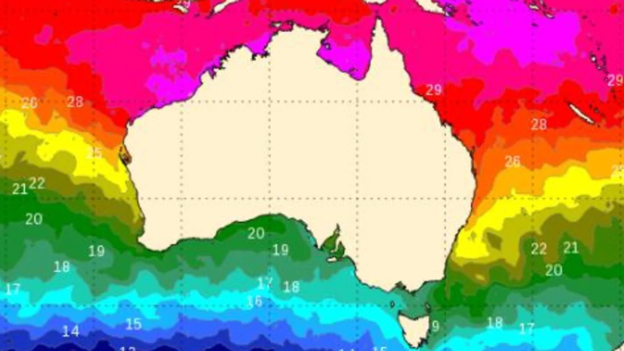 La Nina related marine heatwave heating up WA waters
