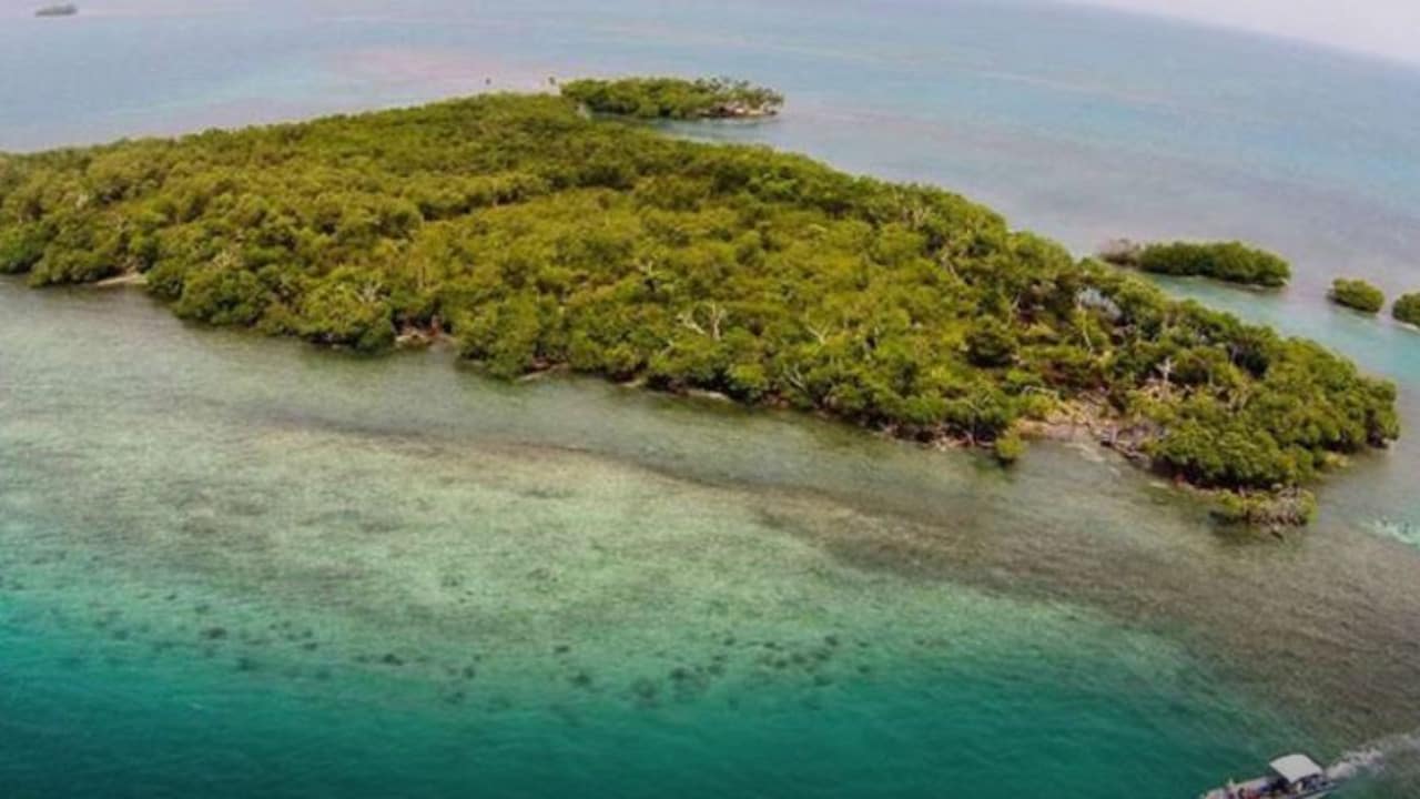 Tropical islands you could buy for less than a studio apartment in Sydney