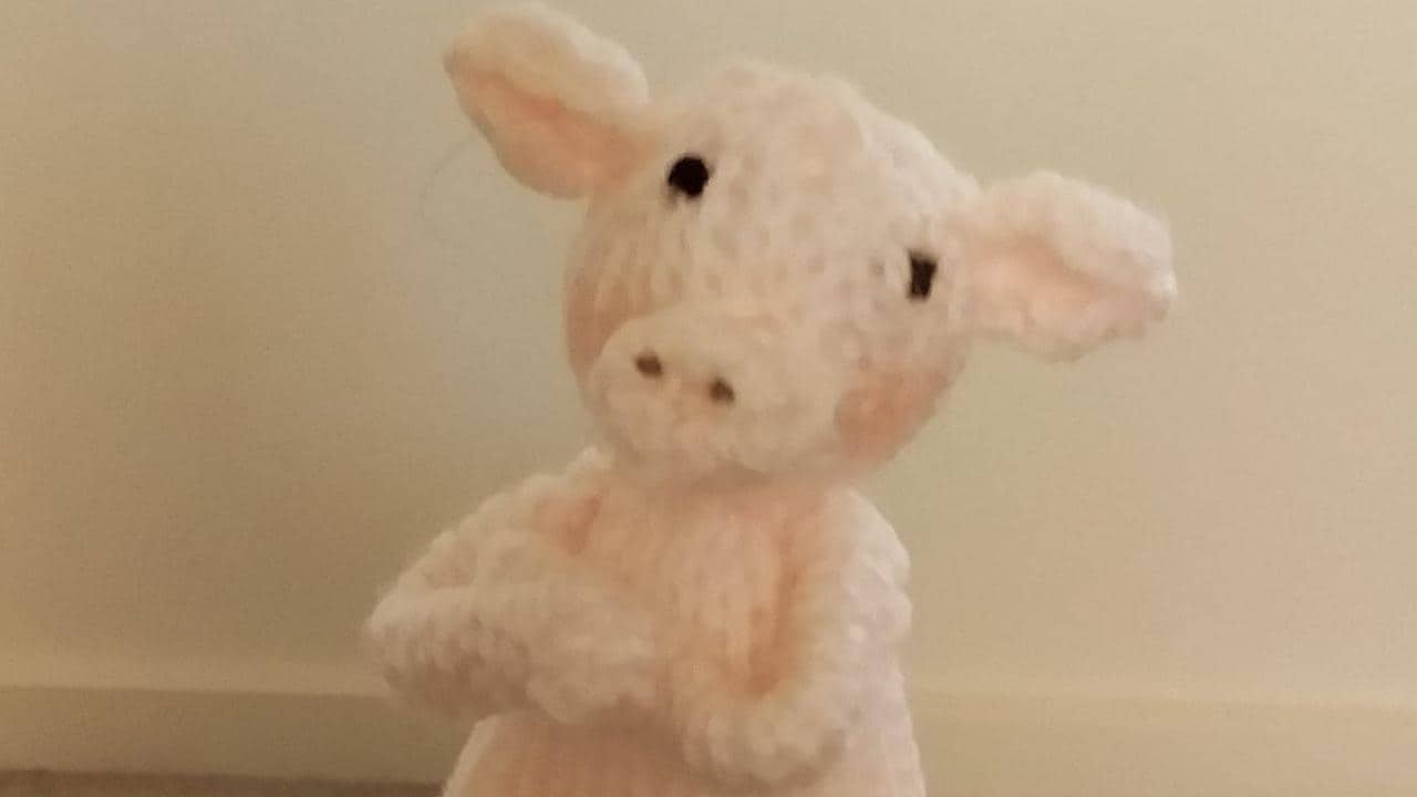 What is a porcophile? Facebook apologises to Australian pig lover over post ban