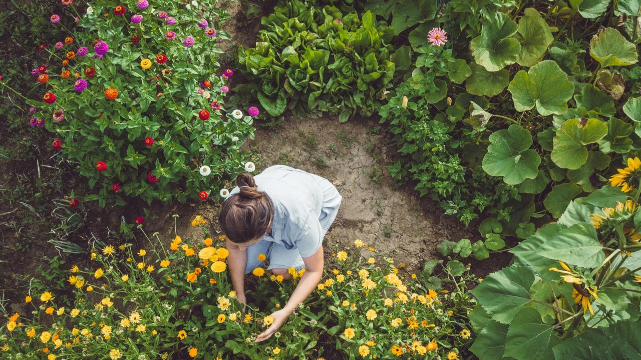 mental and physical benefits of a good home garden