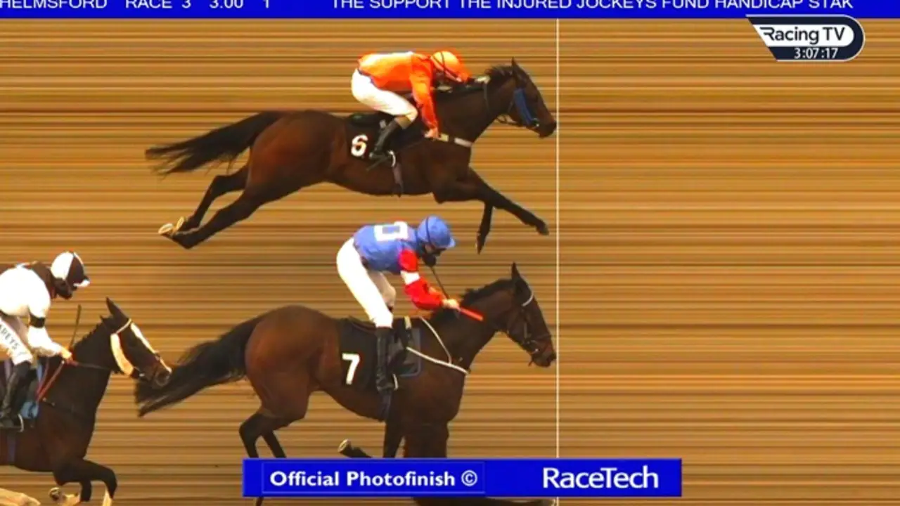 Chelmsford dead heat photo finish, Crazy Spin, Anniemation