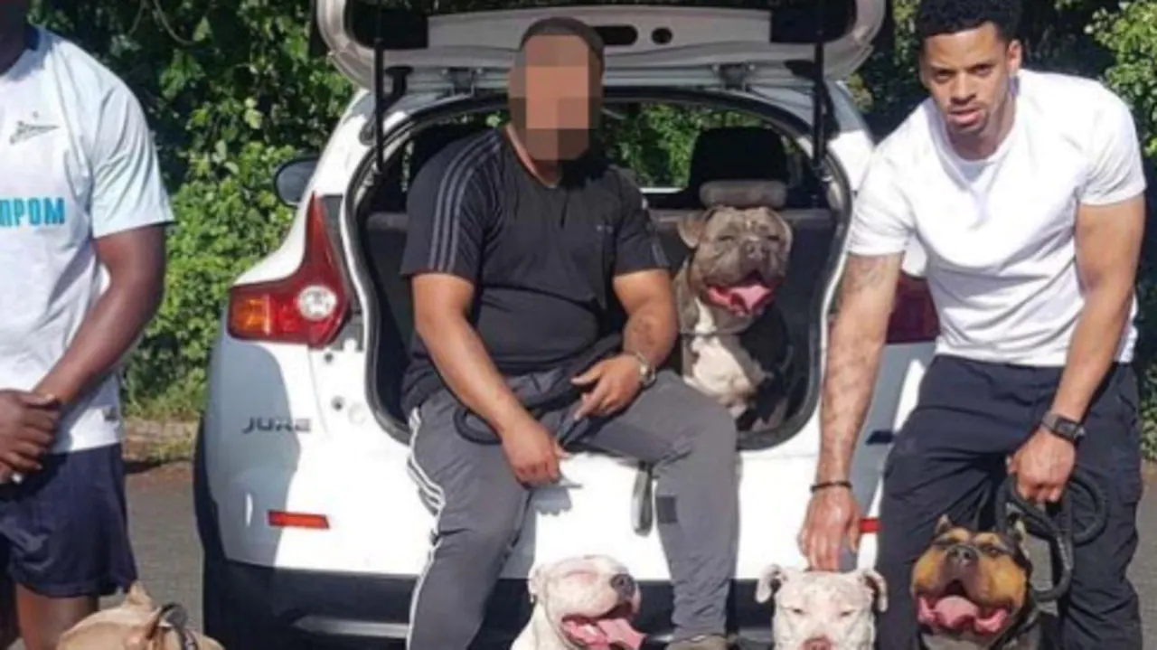 Dogs accused of mauling beloved grandma described as ‘ticking time bombs’