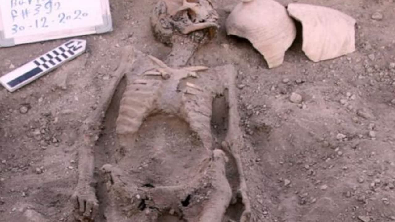 Egypt confirms ‘lost golden city’ found in Luxor during King Tut mission