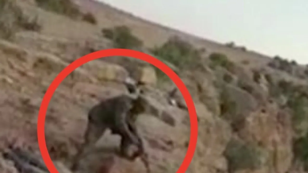 Footage shows soldiers killing unarmed men amid Ethiopian civil war