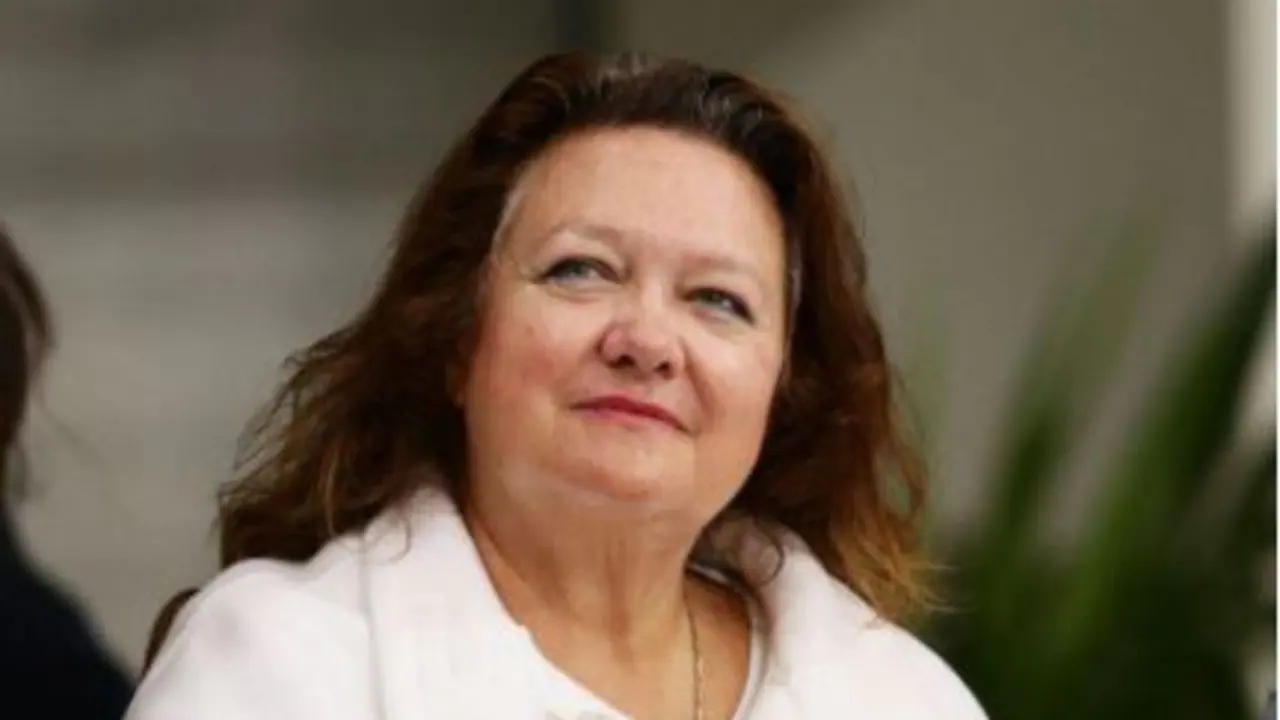 Gina Rinehart mocked over jokes book full of boomer memes
