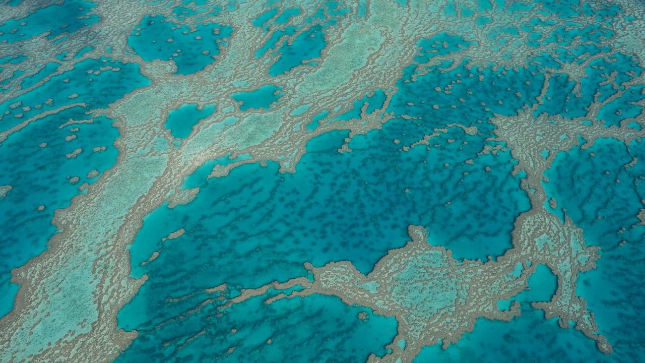 Great Barrier Reef doomed, up to 90 per cent of coral reefs to disappear