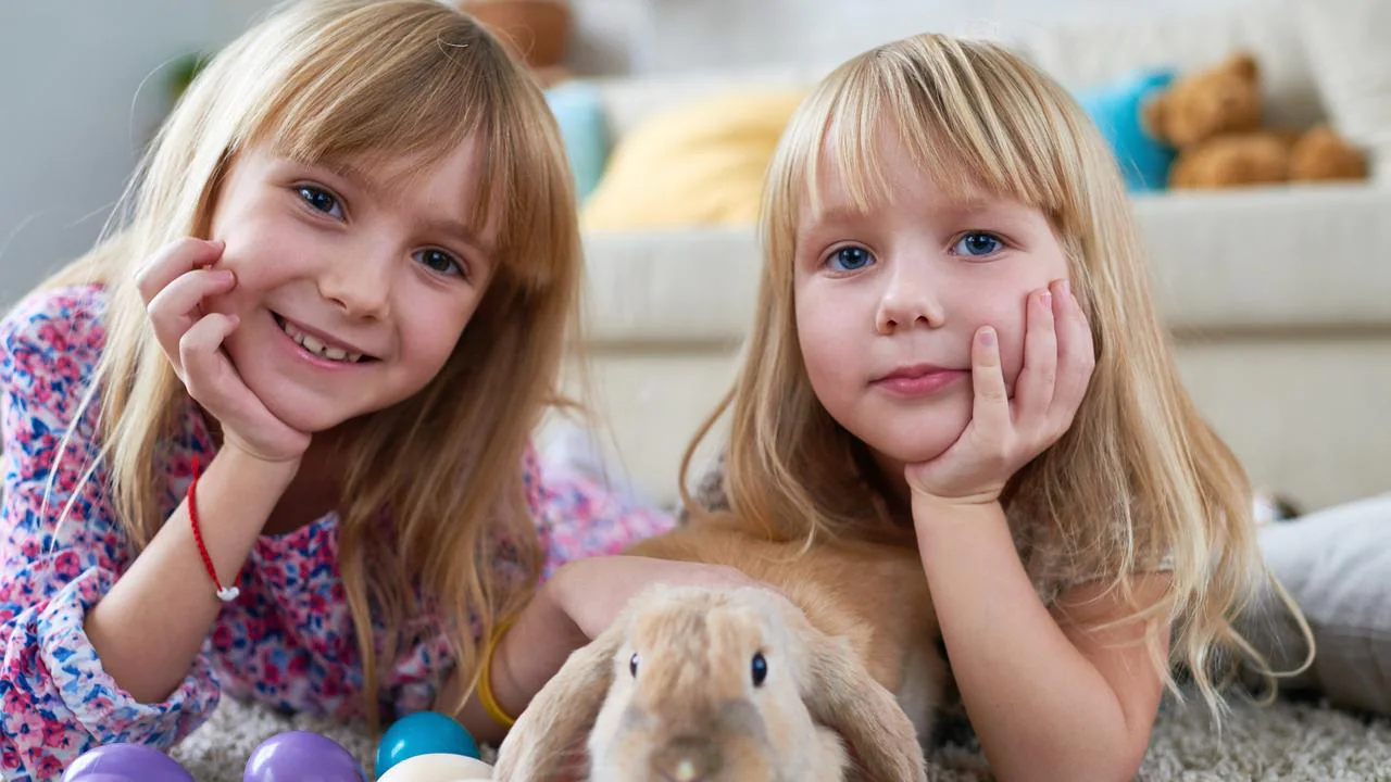 How to have a staycation