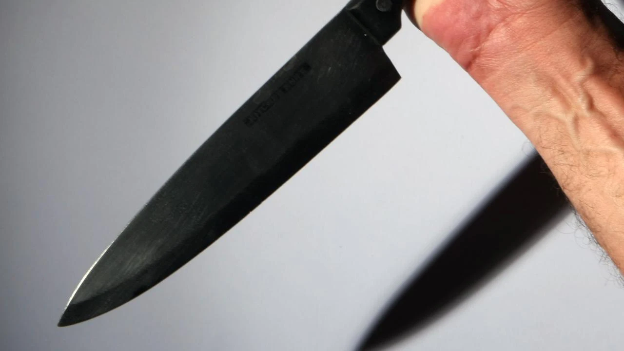 Man who stabbed stepbrother detained for seven years