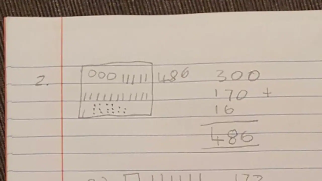 Maths professor can’t work out 7-year-old’s school homework