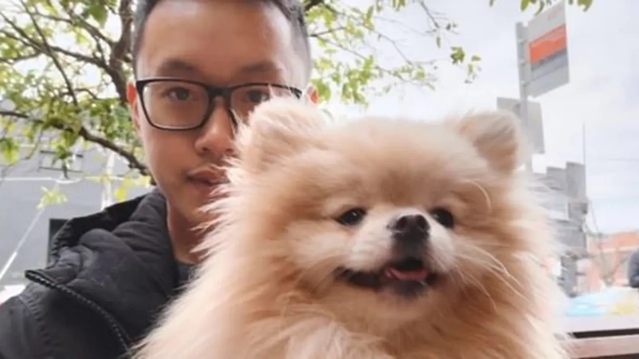 Melbourne couple’s custody dispute over $4000 pomeranian puppy in court