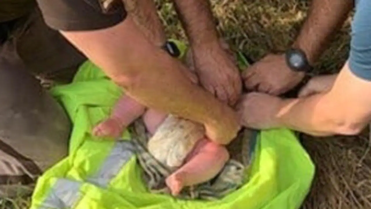 Michigan deputies rescue abandoned four-month-old left in woods