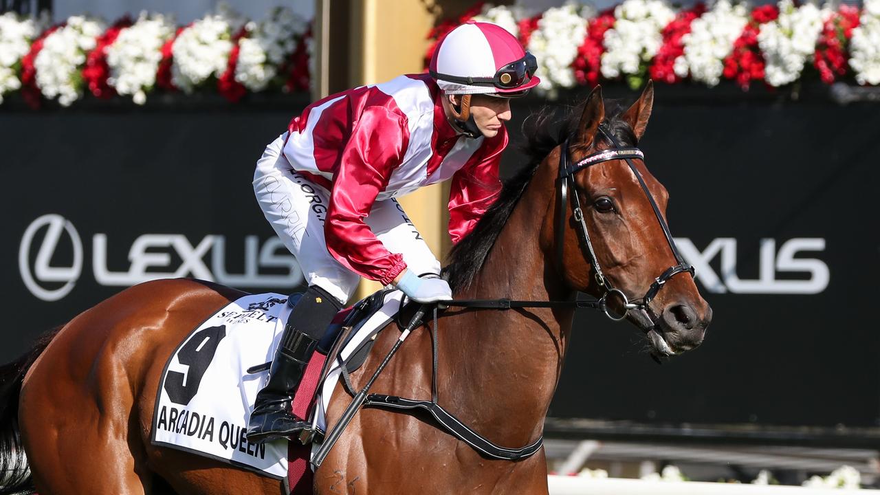 Tendon injury ends Arcadia Queen’s racing career