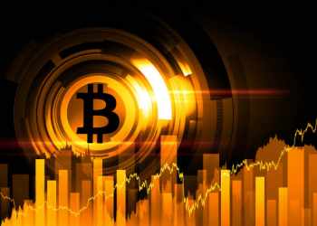 Bitcoins can be a wise decision in the present times